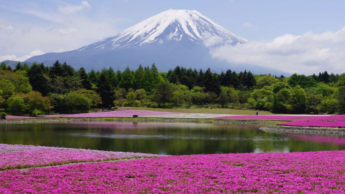 Escapada a Japón