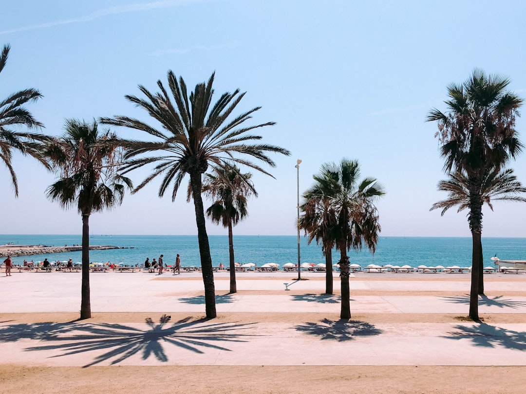 Europa Vivaz Especial Barcelona