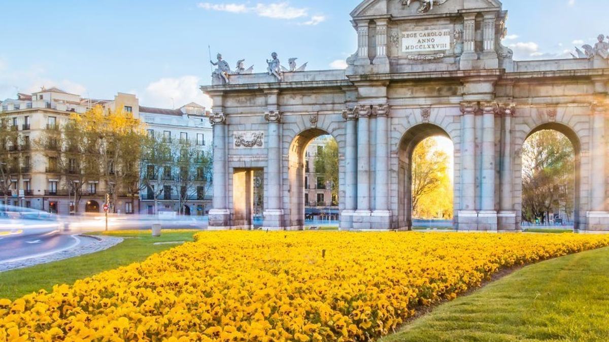 Europa Vivaz Fin Lisboa