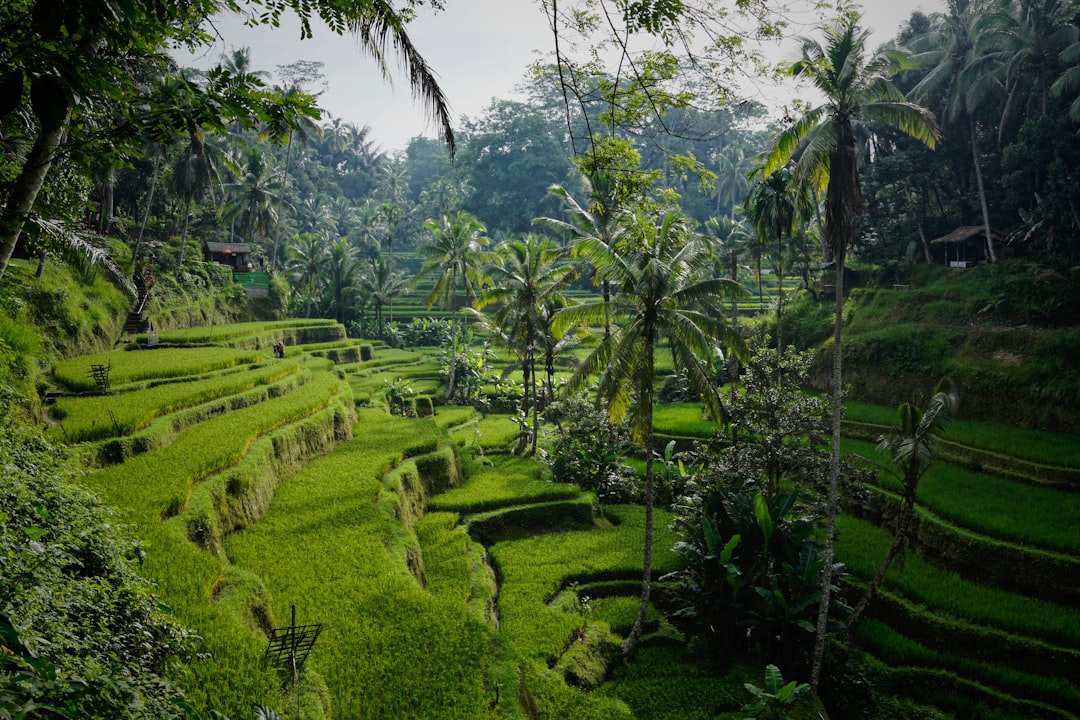 Gran Sudeste Asiatico con Bali