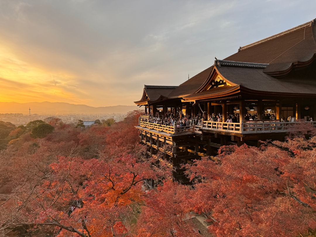 Japon Esencial