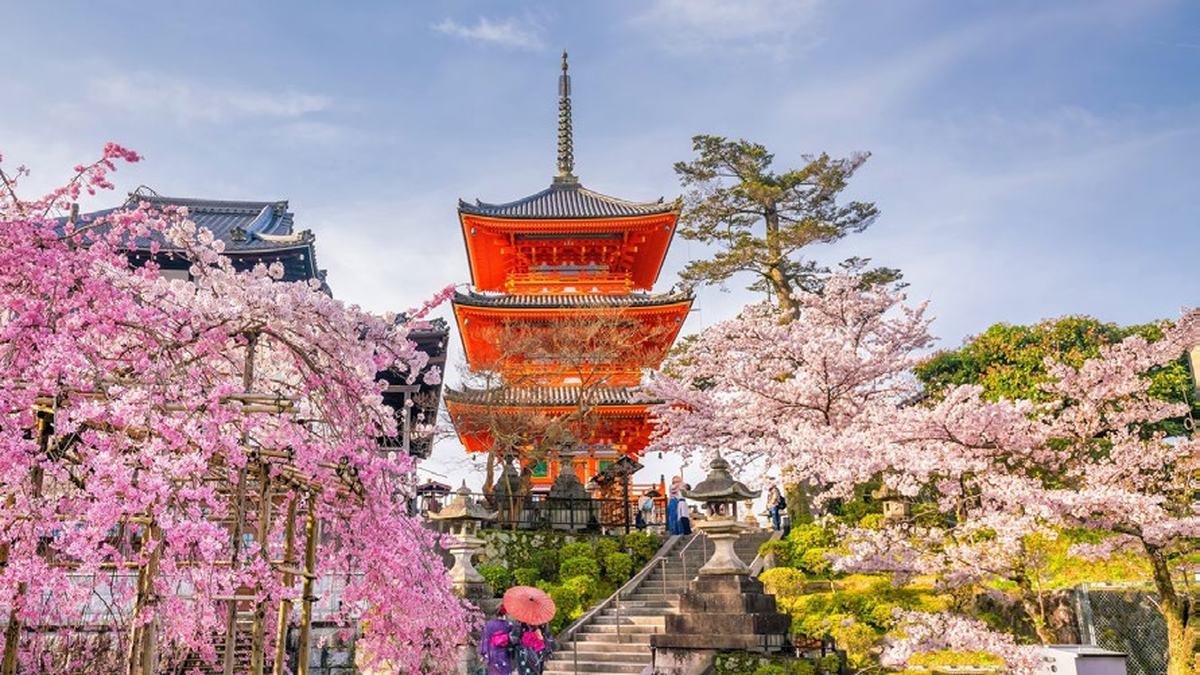 Japón Esencial y China de Norte a Sur - Fin Hong Kong