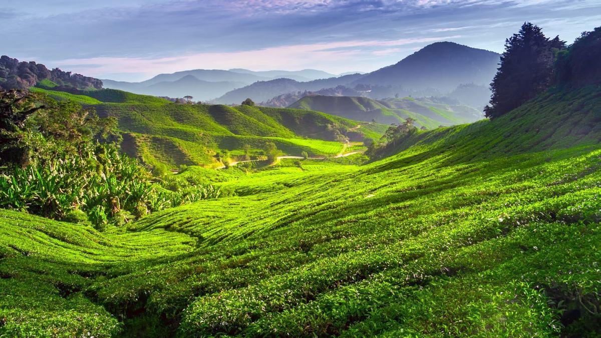 Mi Primer Viaje A Tailandia y Malasia