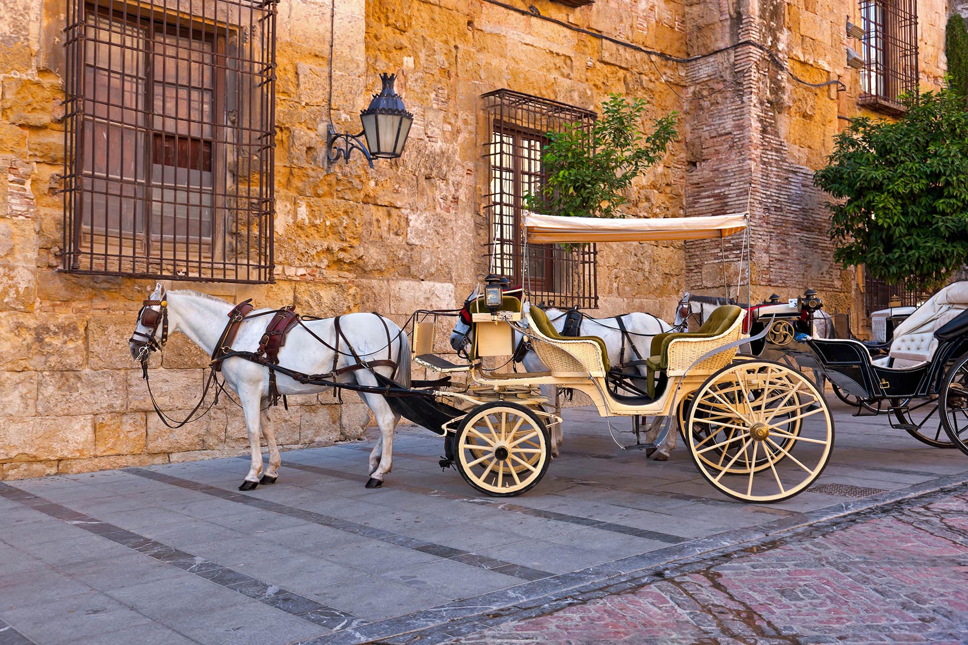 OPORTO-MADRID