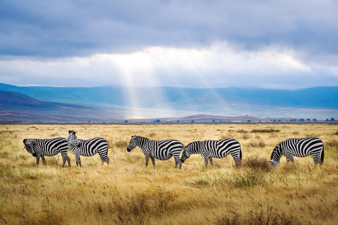 Tanzania y Kenia