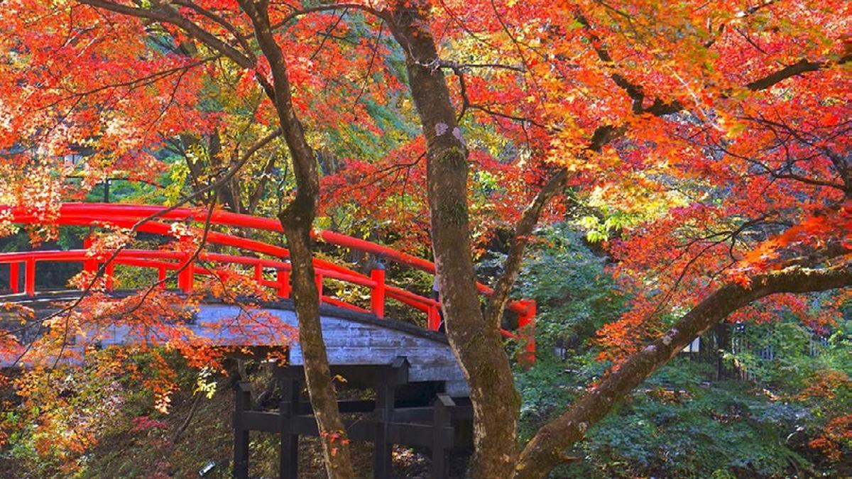 Viajando por Corea y Japon Fin Sapporo