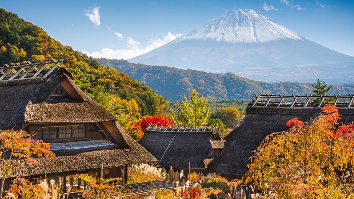 Viaje al Corazón de Japón - Fin Sapporo